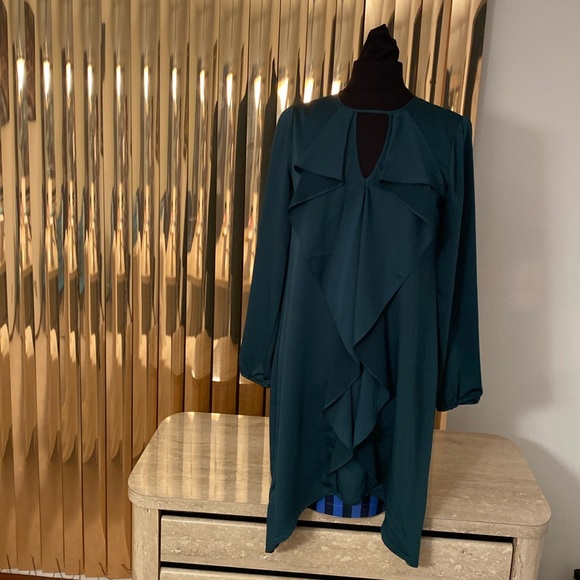 BCBGMaxAzria Dresses & Skirts - BCBG Maxazria NWT, Forest Green Dress, see measurements in photos below.